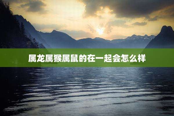 属龙属猴属鼠的在一起会怎么样