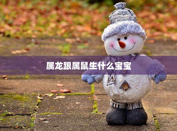 属龙跟属鼠生什么宝宝