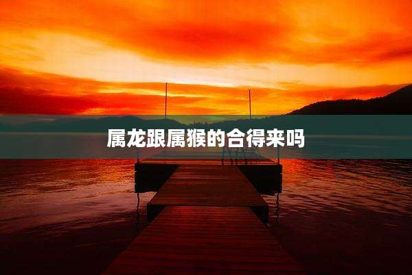 属龙跟属猴的合得来吗