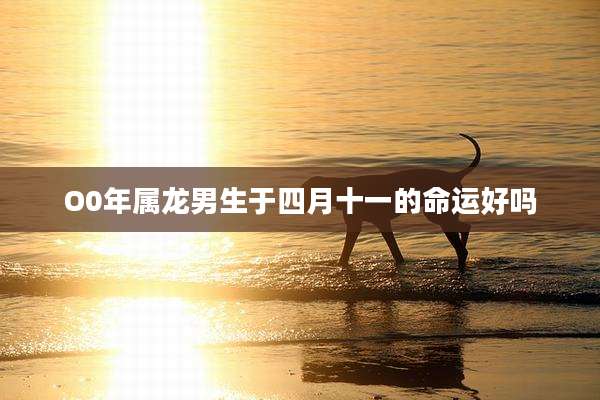 O0年属龙男生于四月十一的命运好吗