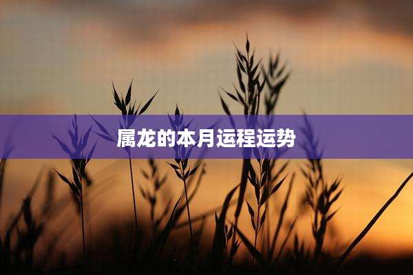属龙的本月运程运势