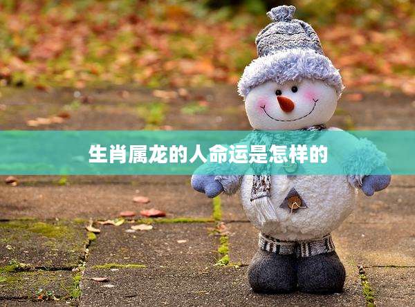 生肖属龙的人命运是怎样的