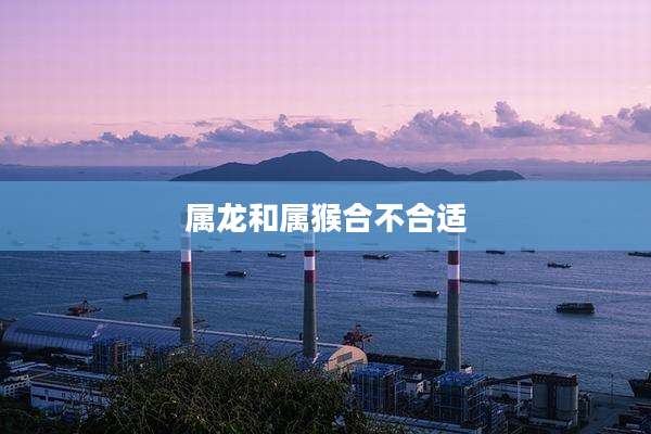 属龙和属猴合不合适