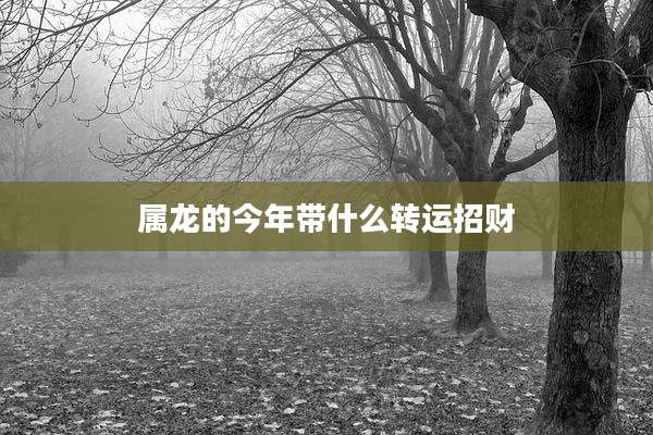 属龙的今年带什么转运招财