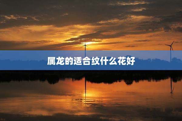 属龙的适合纹什么花好