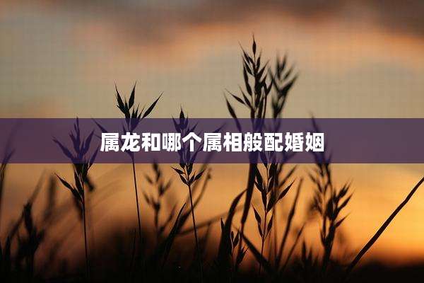 属龙和哪个属相般配婚姻