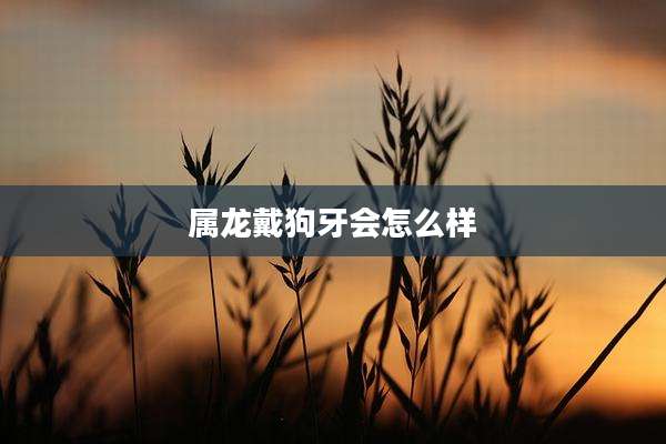 属龙戴狗牙会怎么样