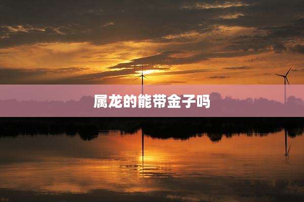 属龙的能带金子吗