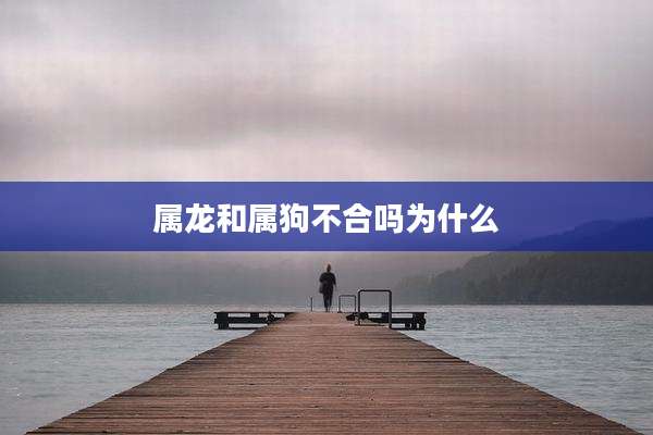 属龙和属狗不合吗为什么