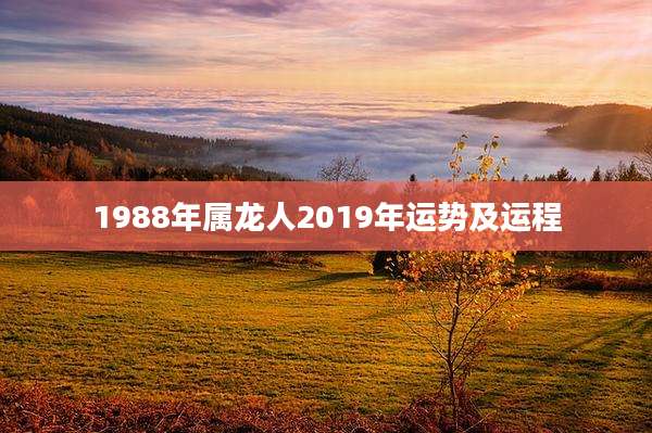 1988年属龙人2019年运势及运程
