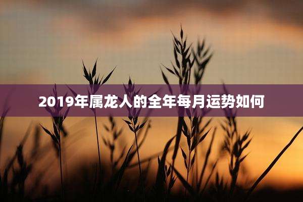 2019年属龙人的全年每月运势如何