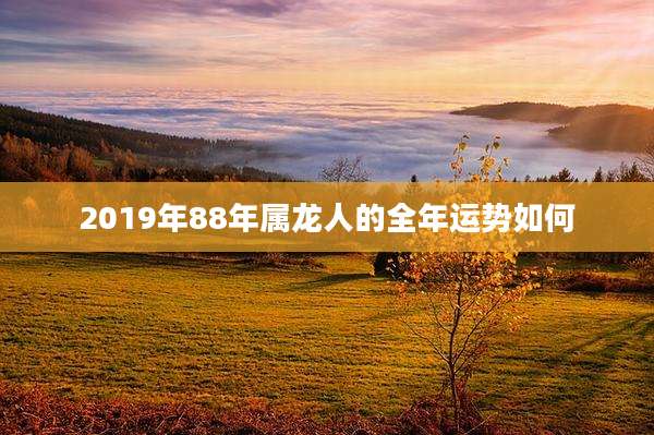 2019年88年属龙人的全年运势如何