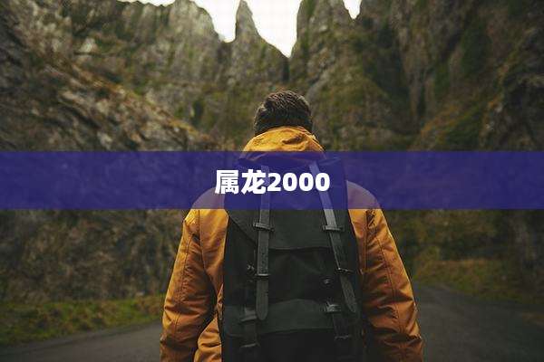 属龙2000