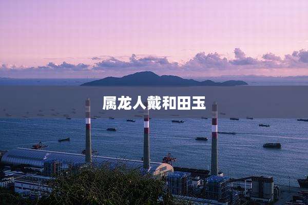 属龙人戴和田玉