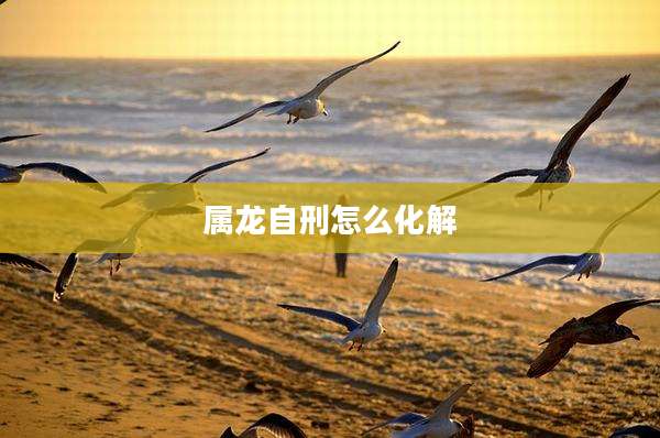 属龙自刑怎么化解