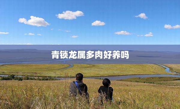 青锁龙属多肉好养吗