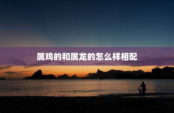 属鸡的和属龙的怎么样相配