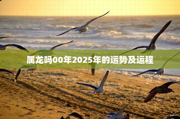 属龙吗00年2025年的运势及运程
