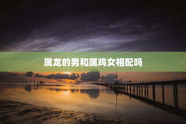 属龙的男和属鸡女相配吗
