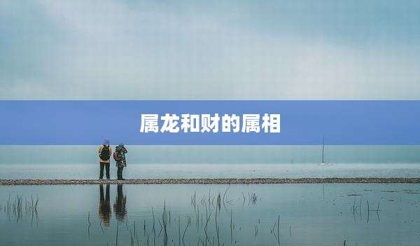 属龙和财的属相