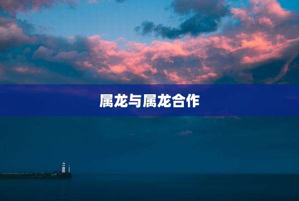 属龙与属龙合作