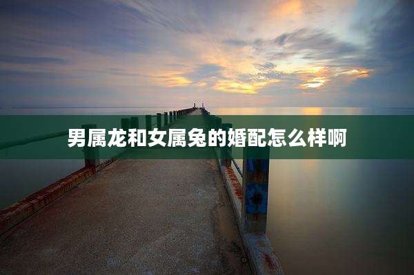 男属龙和女属兔的婚配怎么样啊