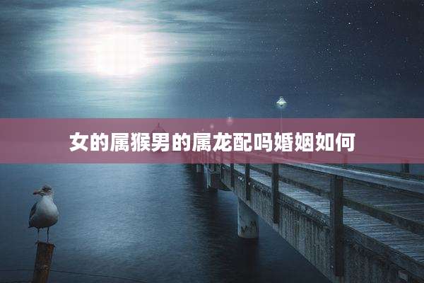 女的属猴男的属龙配吗婚姻如何