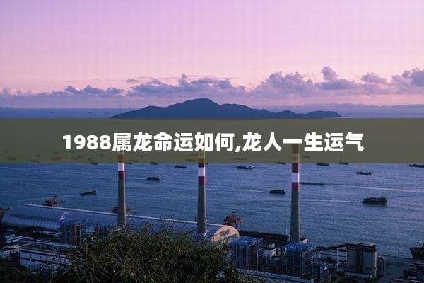 1988属龙命运如何,龙人一生运气