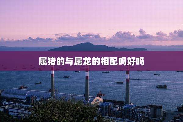 属猪的与属龙的相配吗好吗