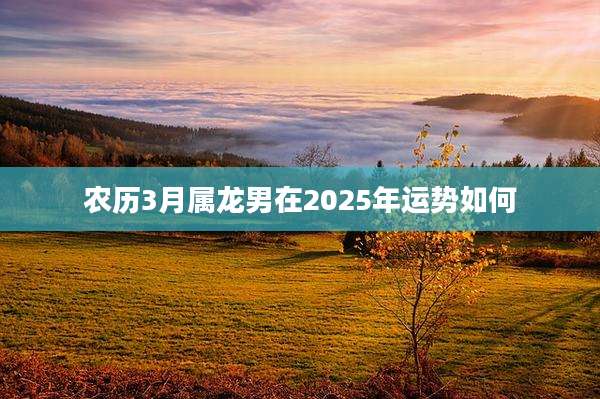 农历3月属龙男在2025年运势如何