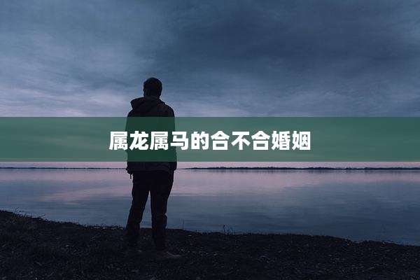 属龙属马的合不合婚姻