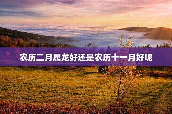农历二月属龙好还是农历十一月好呢