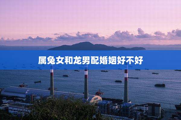 属兔女和龙男配婚姻好不好