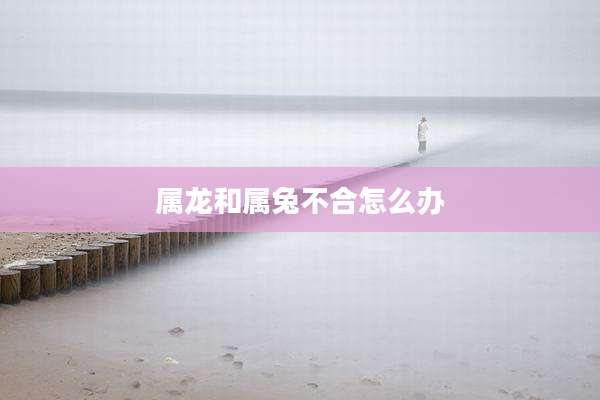属龙和属兔不合怎么办