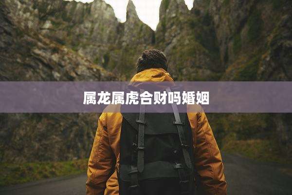 属龙属虎合财吗婚姻