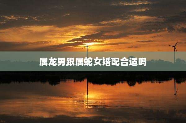 属龙男跟属蛇女婚配合适吗
