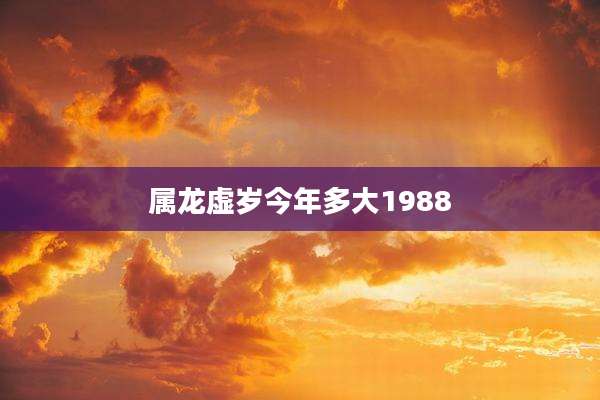 属龙虚岁今年多大1988