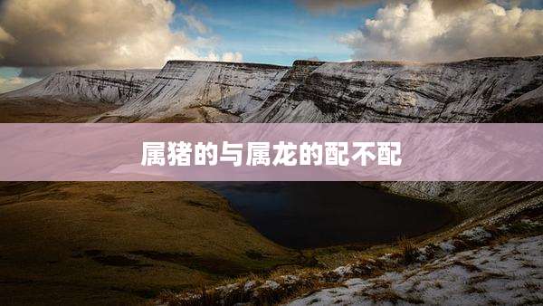 属猪的与属龙的配不配