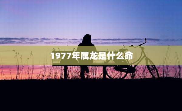 1977年属龙是什么命
