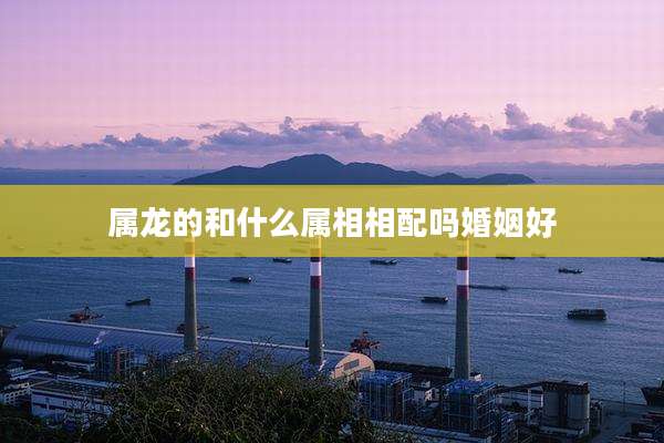 属龙的和什么属相相配吗婚姻好