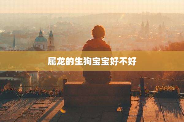 属龙的生狗宝宝好不好