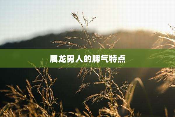 属龙男人的脾气特点