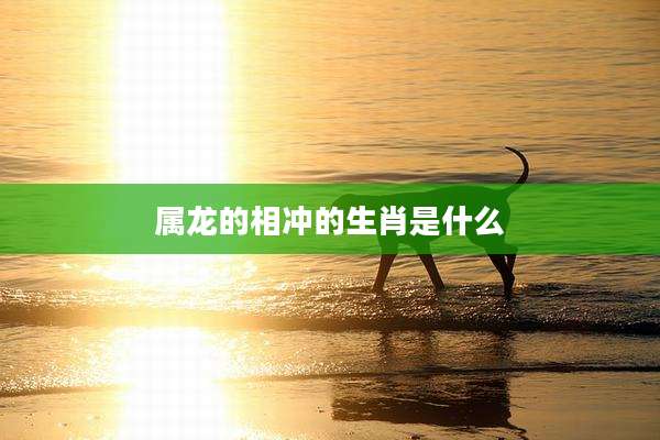 属龙的相冲的生肖是什么