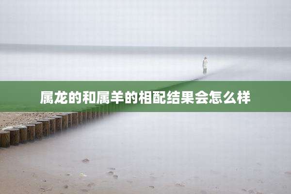 属龙的和属羊的相配结果会怎么样
