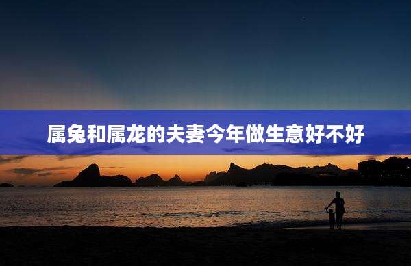 属兔和属龙的夫妻今年做生意好不好