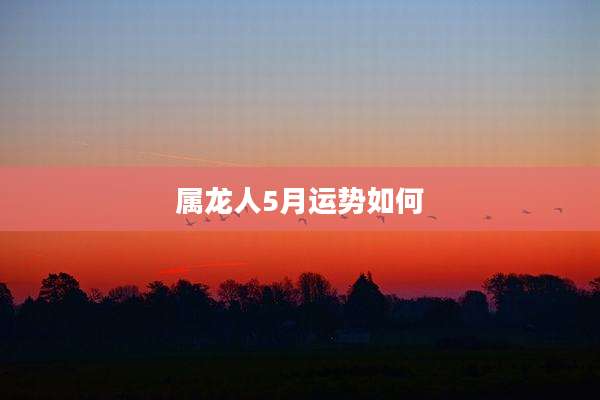 属龙人5月运势如何
