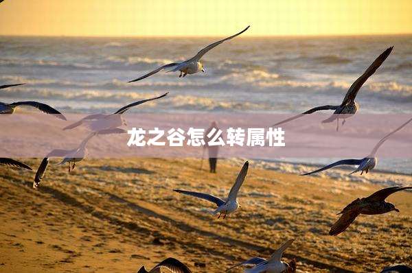 龙之谷怎么转属性