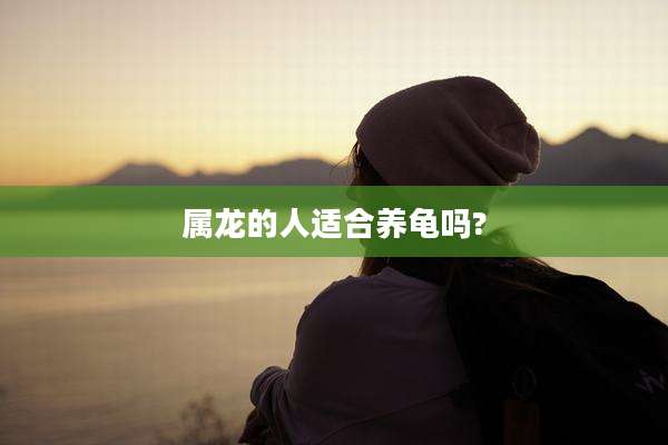 属龙的人适合养龟吗?