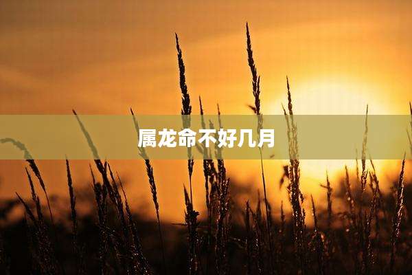 属龙命不好几月