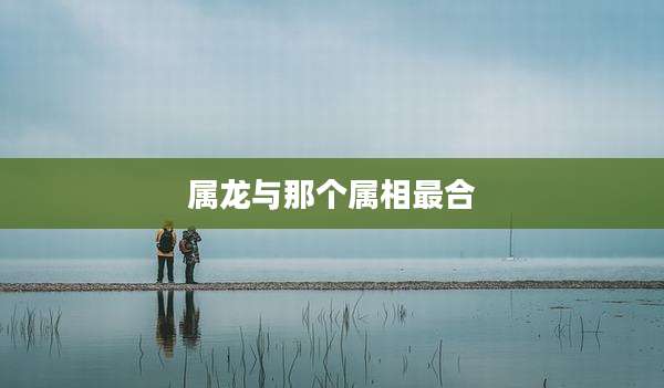 属龙与那个属相最合
